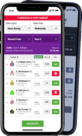 dutch betting calculator free.